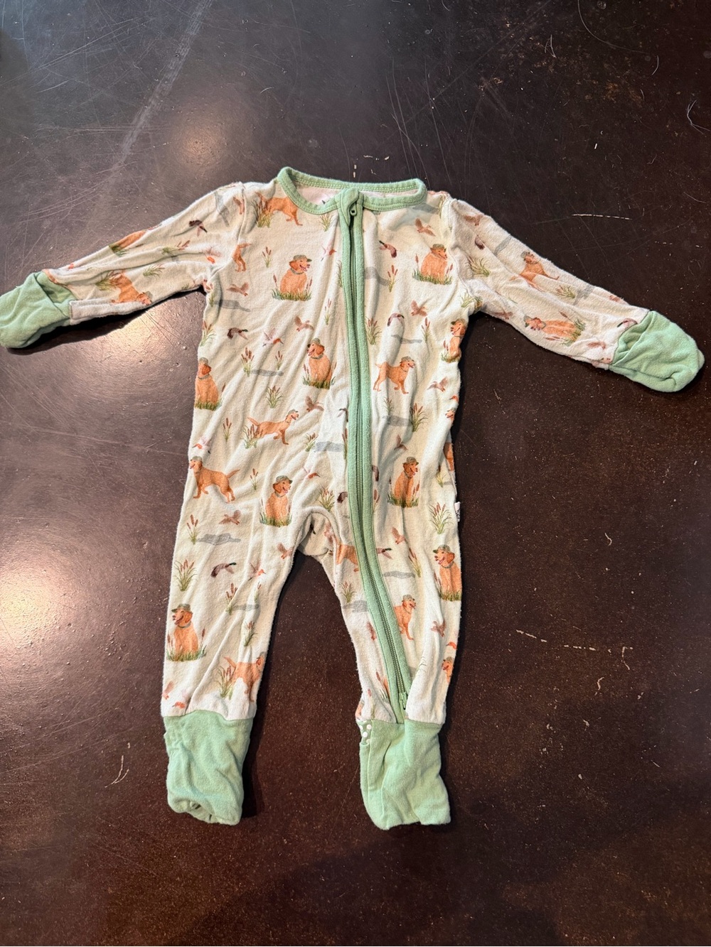 Bamboo One-Piece Footed Pajamas in Light Green with Dog Print